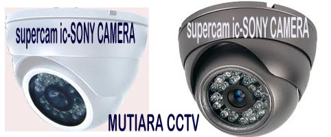 Camera indoor 482 x 200 copy